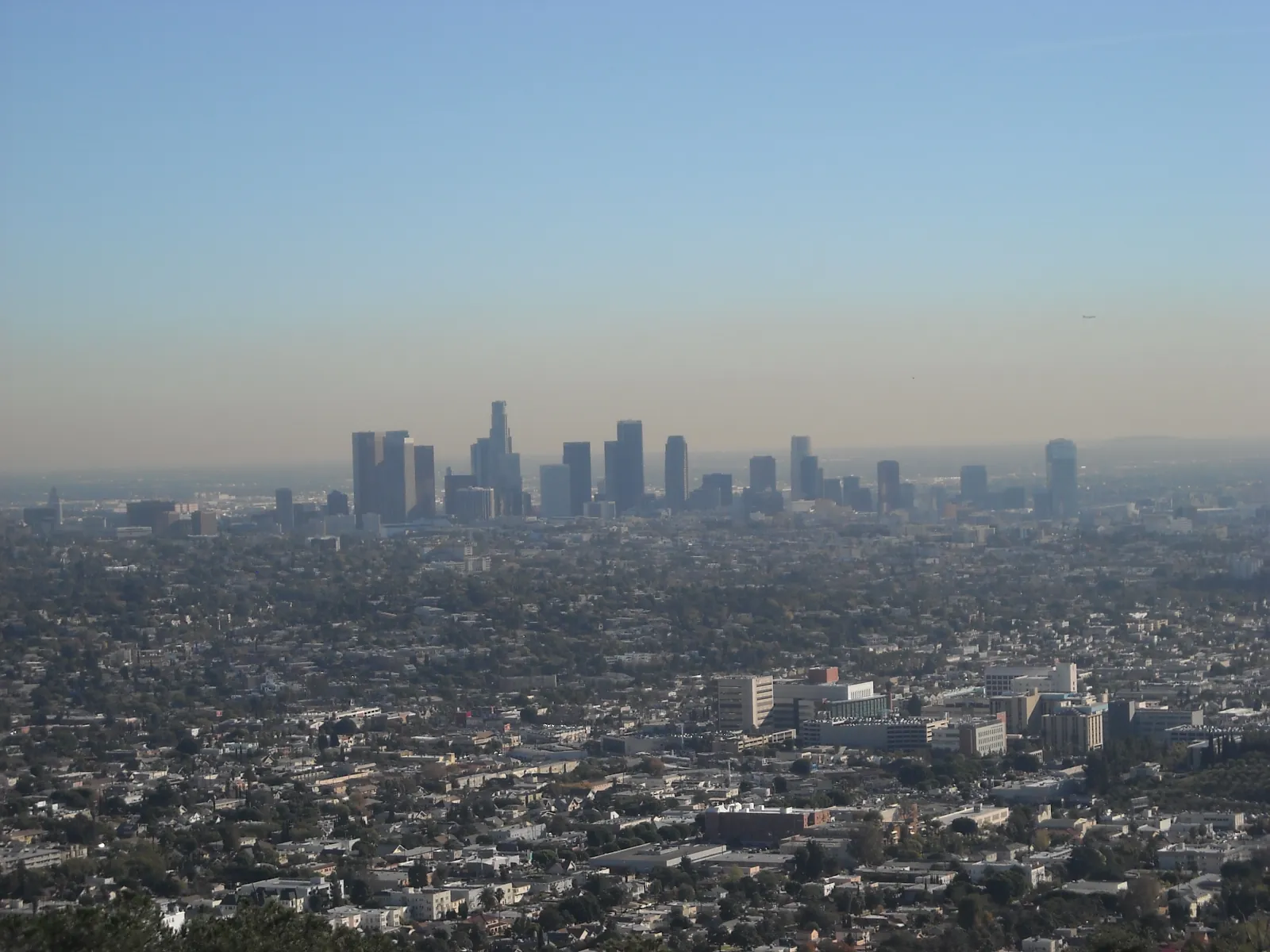 Contents pack-out and restoration serving Los Angeles, Los Angeles County